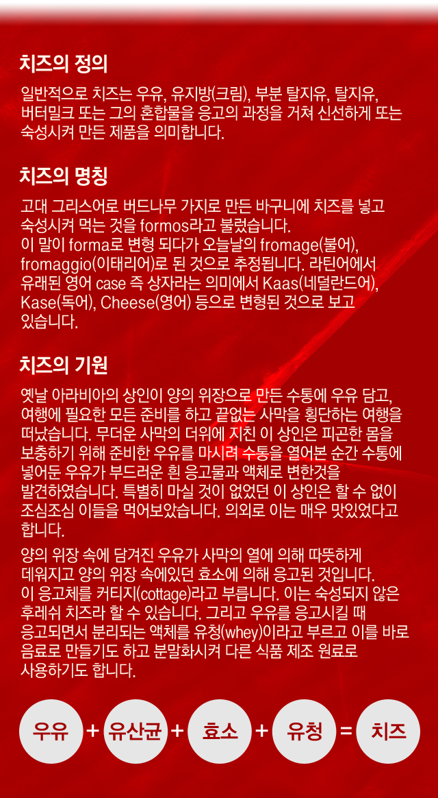 치즈란?