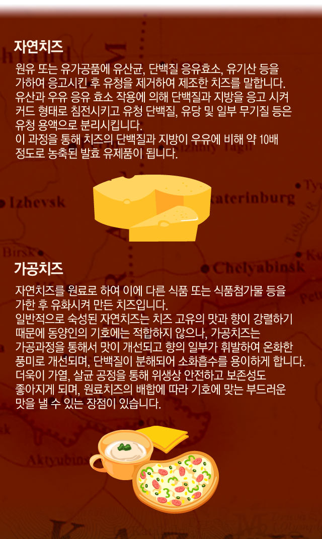 치즈의 종류